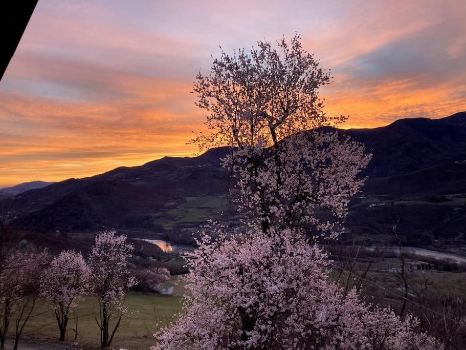 Casa Nella Natura A 博比奥 外观 照片